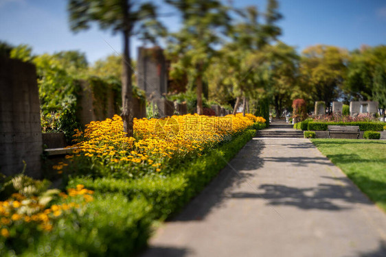 一张使用倾斜转换效应的花园和通道的照片图片