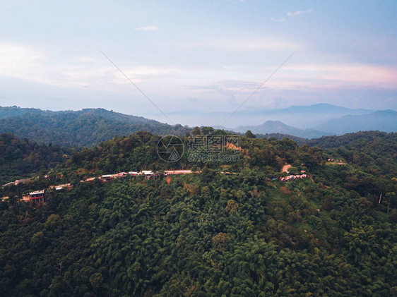 山岳树木和绿树长夕山脉图片