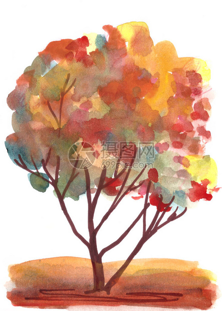 抽象秋天橙黄色绿树图片