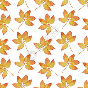 有大叶子的明亮无缝图案用于装饰和纺织品的秋图片