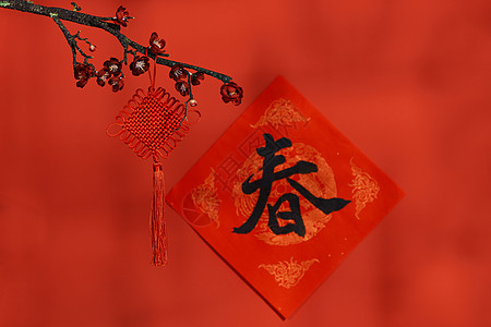 结婚红包树枝上的中国结背景