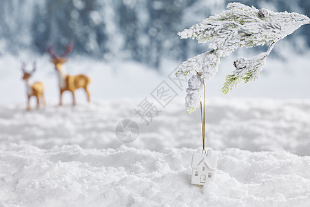 圣诞节雪花雪地背景冬日静物背景