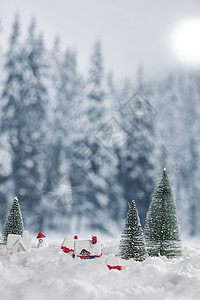 雪地圣诞树雪地背景冬日静物背景