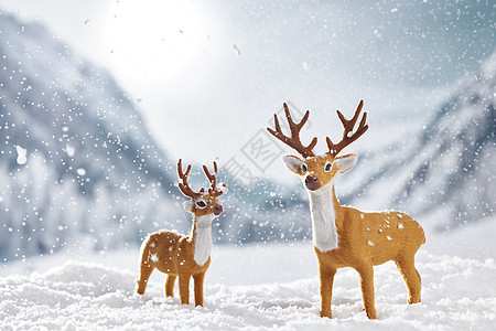 圣诞鹿角雪地上的麋鹿背景