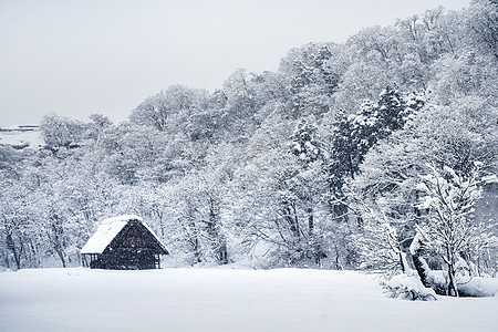 冬季山脚下皑皑白雪中的森林小屋高清图片