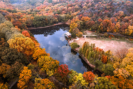 钟山风景区流徽榭图片