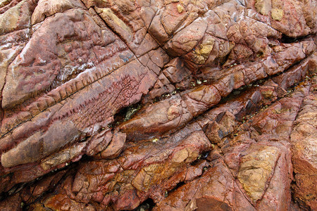 香港地质公园的沉积岩图片