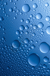 国画荷花浸渍滴雨水对玻璃盘的纳米效应Nanoversiegelung浸渍与蓝色背景运行在工作室中创建背景