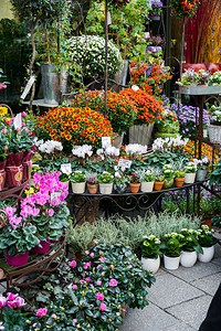 有五颜六色的花街道花店图片