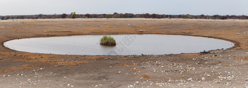 Namibia游戏保护区的空洞图片