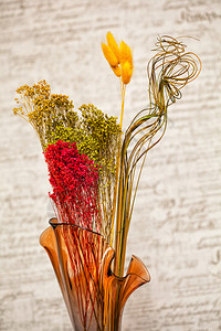 花瓶中的装饰干花艺术图片