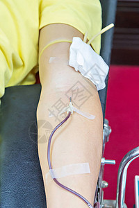 献血捐者在医院捐图片