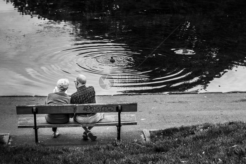 坐在利物浦塞夫顿公园湖边图片