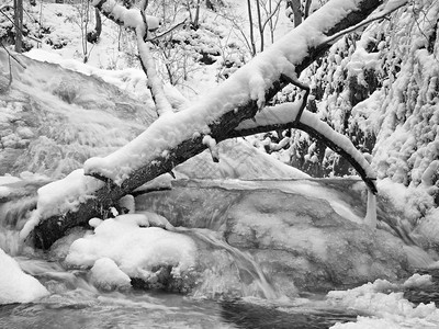 冰冻的瀑布冰雪树枝和冷冻气流泡沫中的冰块图片