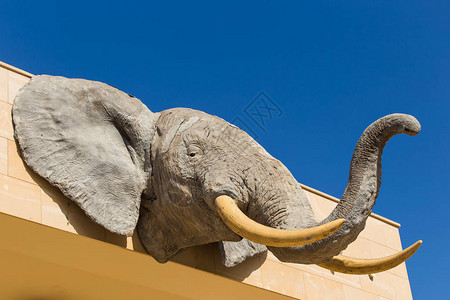 丛林动物雕塑户外大象头图片