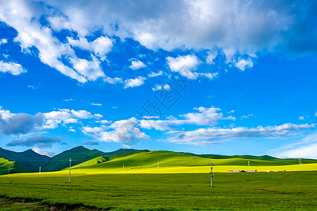 蓝天草坪蓝天白云下的草原背景