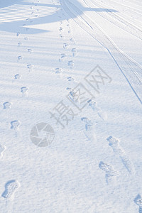 雪景图片