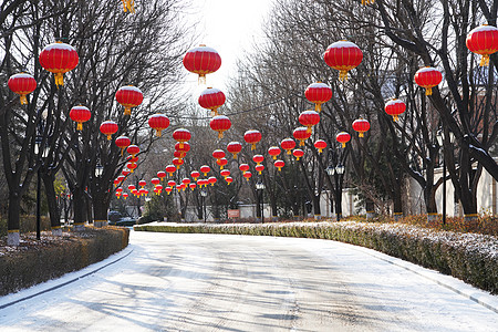 别墅区雪景图片