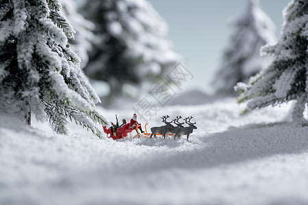 松树树林雪地上驯鹿拉着圣诞老人背景