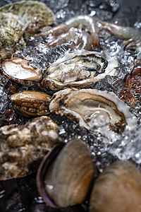 食品生鲜海鲜背景