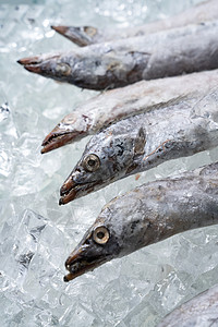 带鱼健康食品展示高清图片