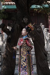 穿清宫服的青年女人站在古树下图片