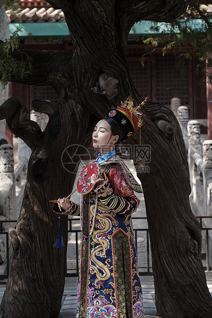 穿清宫服的青年女人站在古树下图片