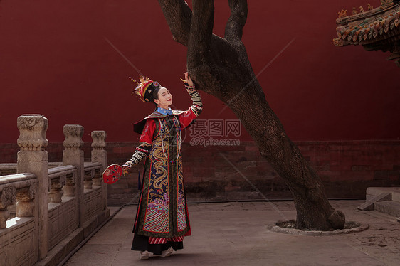 穿清宫服的青年女人站在古树下图片