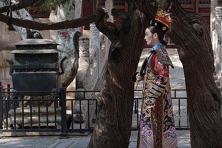 穿清宫服的青年女人站在古树下图片