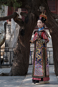 穿清宫服的青年女人站在古树下图片