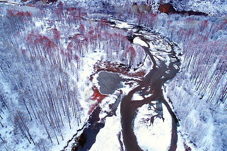 内蒙古呼伦贝尔雪景图片