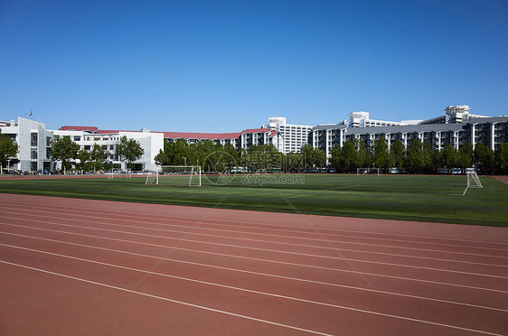 北京清华大学紫荆体育场图片