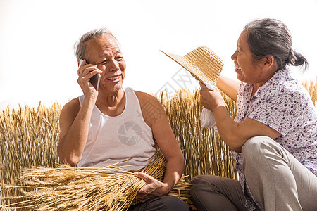 老年夫妇在麦田图片