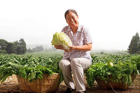 菜农拿着大白菜图片