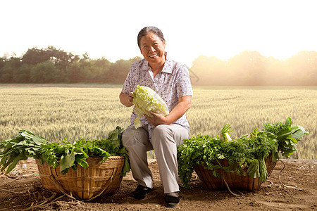 菜农拿着大白菜图片