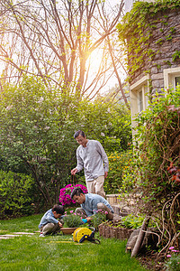 祖孙三代在院子里种花图片