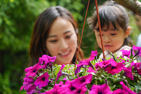 母女在院子里看花图片