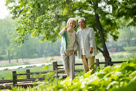 老年旅游老年夫妇在公园里散步背景