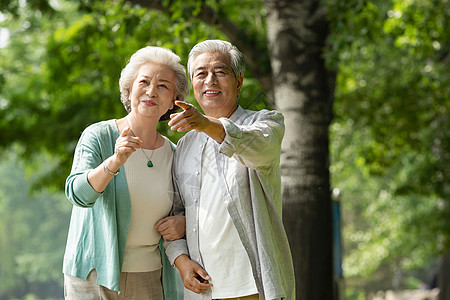 老年活动老年夫妇在公园里散步背景