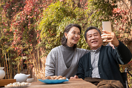 老年夫妇在庭院使用手机图片