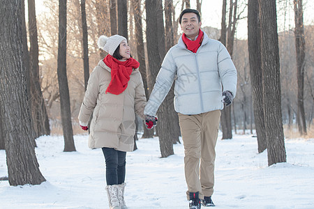 雪地上散步的青年夫妇图片