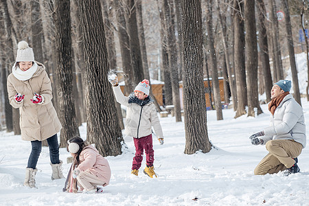 雪地玩耍雪地里打雪仗的快乐家庭背景