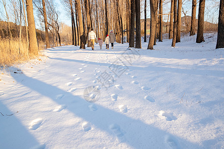 快乐家庭在雪地里散步图片