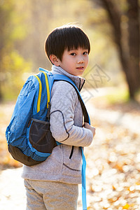 阳光路上秋天户外小路上背书包的小男孩背景