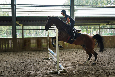 女子运动骑马跳障碍栏的年轻女子背景