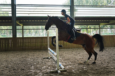 骑马跳障碍栏的年轻女子图片