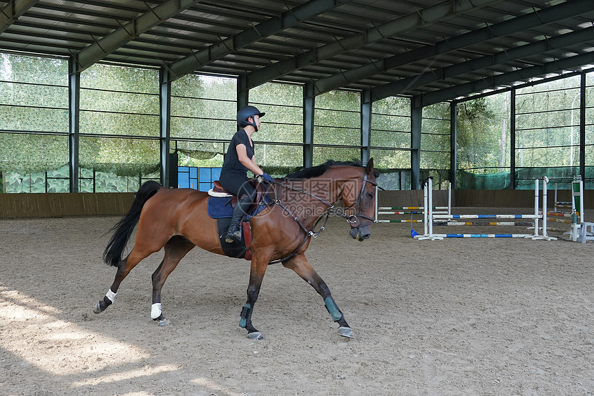障碍训练场上骑马的年轻女子图片