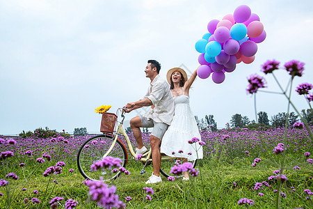 紫色浪漫气球浪漫夫妇在花海里骑车背景
