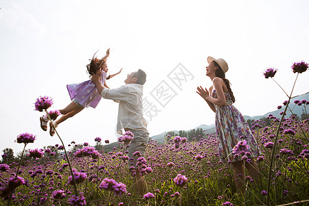 爸爸和女儿玩耍快乐的一家三口在花丛中背景