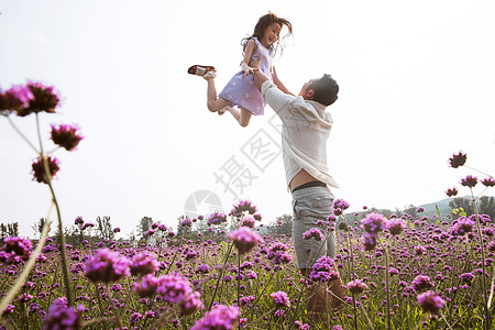放松生活父亲抱着女儿在花丛中玩耍背景